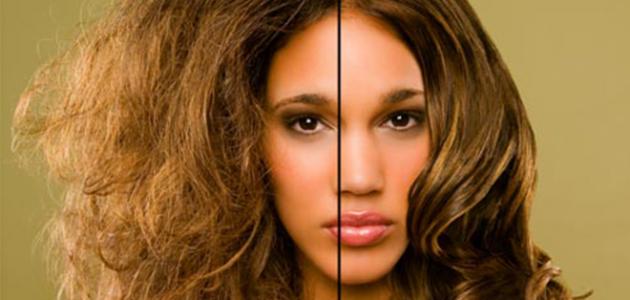 كيف تكون العناية بالشعر الجاف صورة مقال كيف تكون العناية بالشعر الجاف