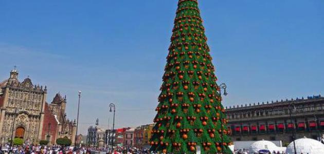 أكبر شجرة عيد ميلاد في العالم صورة مقال أكبر شجرة عيد ميلاد في العالم