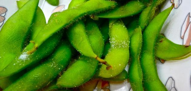 طريقة حفظ الفول الأخضر صورة مقال طريقة حفظ الفول الأخضر