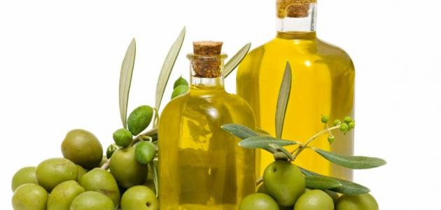 وصفات زيت الزيتون للشعر صورة مقال وصفات زيت الزيتون للشعر