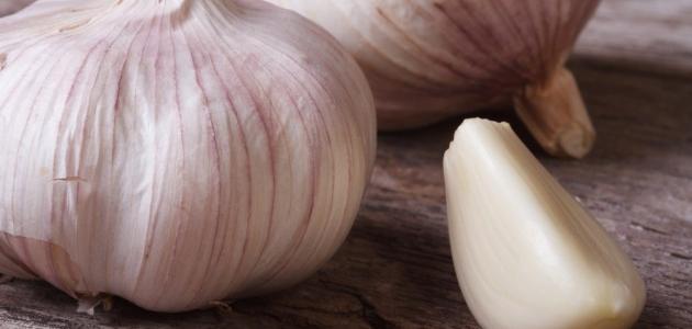 طريقة الثوم لإنبات الشعر صورة مقال طريقة الثوم لإنبات الشعر