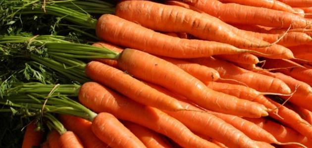 المكونات الغذائية للجزر صورة مقال المكونات الغذائية للجزر