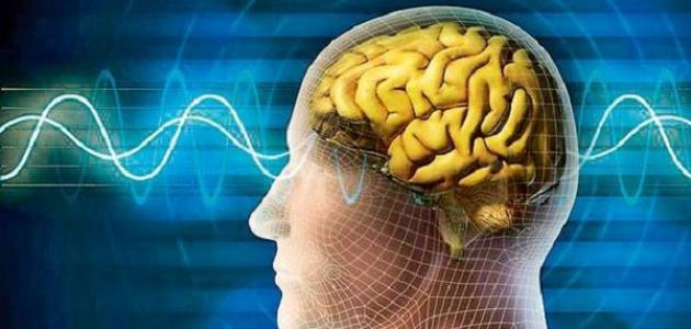 كيف اهتم الاسلام بالعقل صورة مقال كيف اهتم الاسلام بالعقل