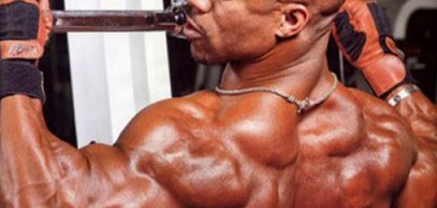 تمارين الضخامة صورة مقال تمارين الضخامة