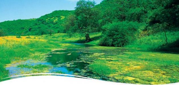 وصف مدينة صلالة صورة مقال وصف مدينة صلالة