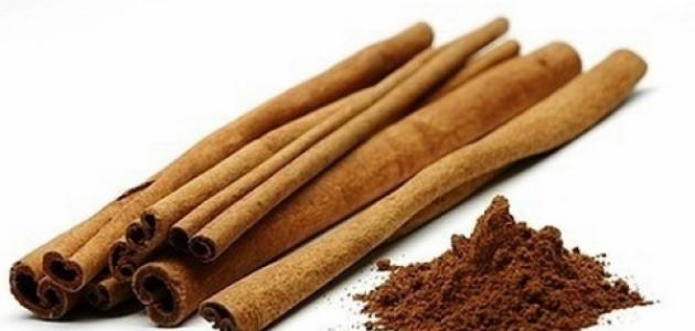 فوائد شرب القرفة للبشرة صورة مقال فوائد شرب القرفة للبشرة