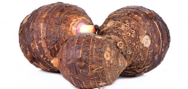 فوائد القلقاس صورة مقال فوائد القلقاس