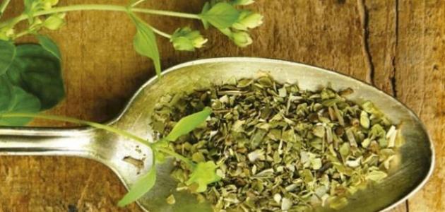 فوائد الزعتر البري للحامل صورة مقال فوائد الزعتر البري للحامل