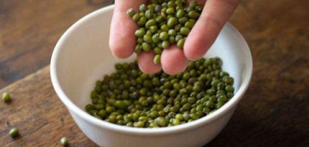 فوائد الماش للجسم صورة مقال فوائد الماش للجسم