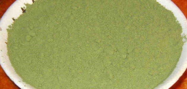 فوائد السدر للشعر والبشرة صورة مقال فوائد السدر للشعر والبشرة