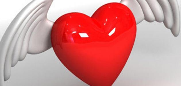 كلمات حب من القلب صورة مقال كلمات حب من القلب