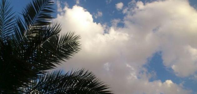 فوائد العلم الشرعي صورة مقال فوائد العلم الشرعي