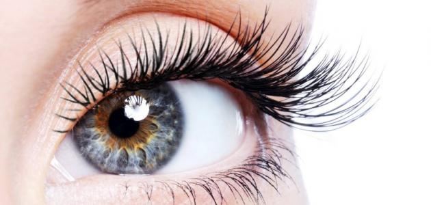 وصفات لتطويل الرموش صورة مقال وصفات لتطويل الرموش