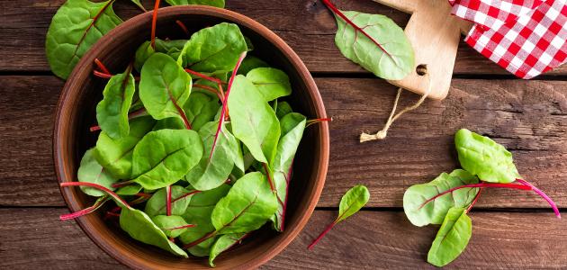 فوائد الخضروات الورقية صورة مقال فوائد الخضروات الورقية