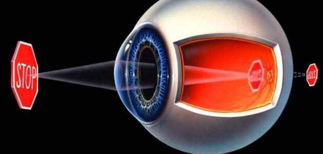 كيف نرى الأشياء صورة مقال كيف نرى الأشياء