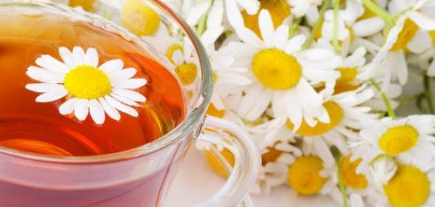 فوائد البابونج للنفاس صورة مقال فوائد البابونج للنفاس