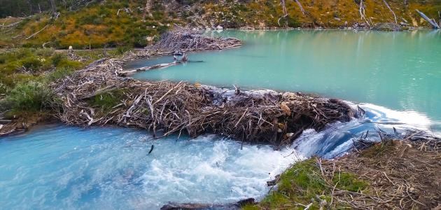 مظاهر اختلال التوازنات الطبيعية صورة مقال مظاهر اختلال التوازنات الطبيعية