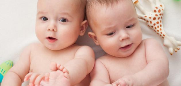 كيف أحمل بتوأم طبيعي صورة مقال كيف أحمل بتوأم طبيعي