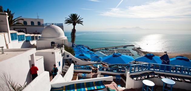 مدينة سيدي بوسعيد صورة مقال مدينة سيدي بوسعيد