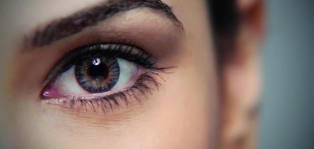 ما عمل العين صورة مقال ما عمل العين