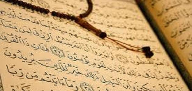 ما هي شروط تمكين الله لعباده في الأرض صورة مقال ما هي شروط تمكين الله لعباده في الأرض