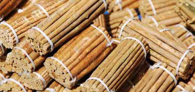 ما فوائد السواك الصحية صورة مقال ما فوائد السواك الصحية