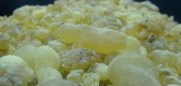 ما فائدة لبان الذكر للبشرة صورة مقال ما فائدة لبان الذكر للبشرة