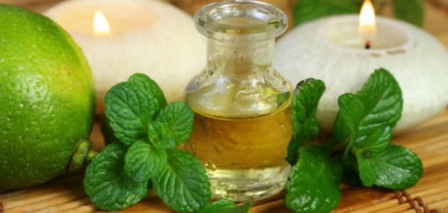 ما هي فوائد النعناع للبشرة صورة مقال ما هي فوائد النعناع للبشرة