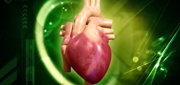 طرق الوقاية من أمراض القلب صورة مقال طرق الوقاية من أمراض القلب