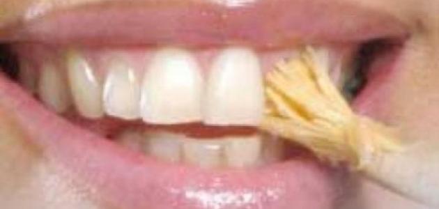 طريقة استخدام السواك صورة مقال طريقة استخدام السواك