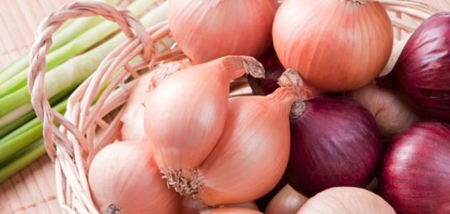 ما هي فوائد البصل للجسم صورة مقال ما هي فوائد البصل للجسم
