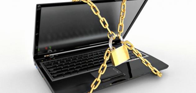 حماية البيانات صورة مقال حماية البيانات