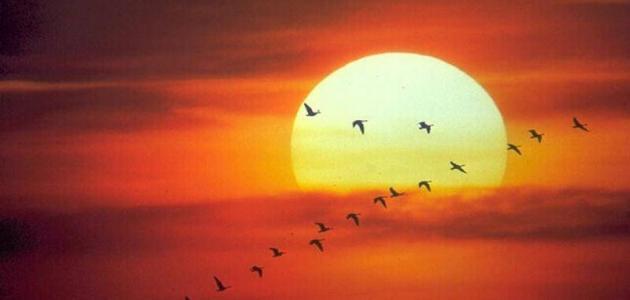 تعبير عن الشمس صورة مقال تعبير عن الشمس