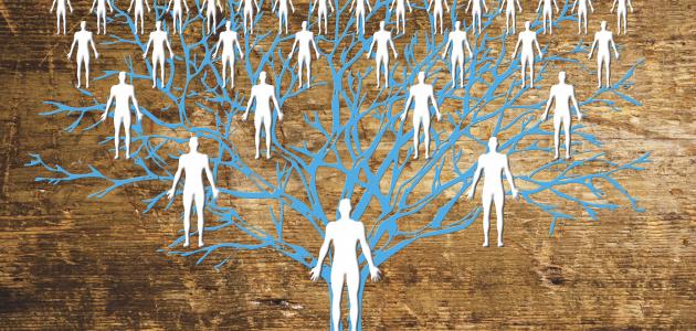 مفهوم شجرة النسب صورة مقال مفهوم شجرة النسب