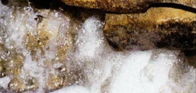 ما فائدة ماء زمزم صورة مقال ما فائدة ماء زمزم