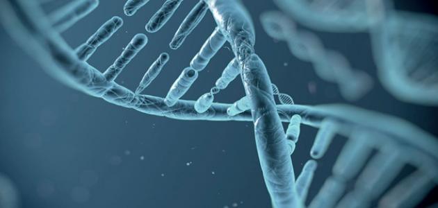 مفهوم علم الأحياء صورة مقال مفهوم علم الأحياء