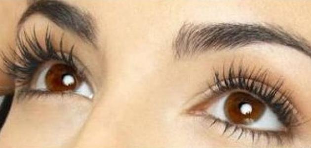 طريقة تكثيف الحواجب بالثوم صورة مقال طريقة تكثيف الحواجب بالثوم