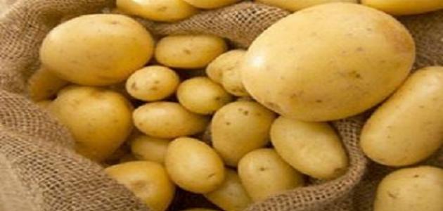 طريقة حفظ البطاطس بقشرها صورة مقال طريقة حفظ البطاطس بقشرها