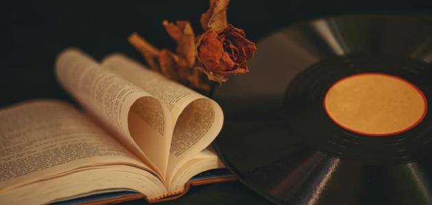 مفهوم كلمة الحب صورة مقال مفهوم كلمة الحب