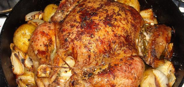 طريقة لعمل الفراخ صورة مقال طريقة لعمل الفراخ