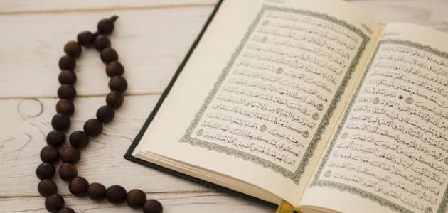 كم عدد السور المكية في القرآن الكريم صورة مقال كم عدد السور المكية في القرآن الكريم