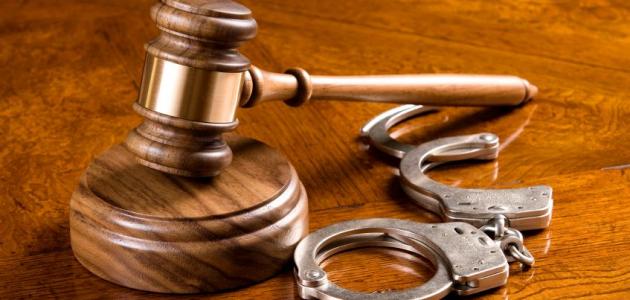 ما هو القانون الجنائي صورة مقال ما هو القانون الجنائي