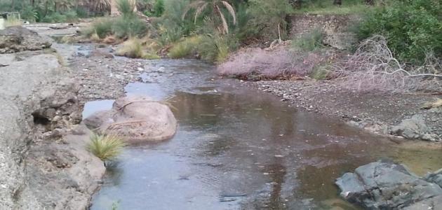 محافظة شمال الشرقية صورة مقال محافظة شمال الشرقية