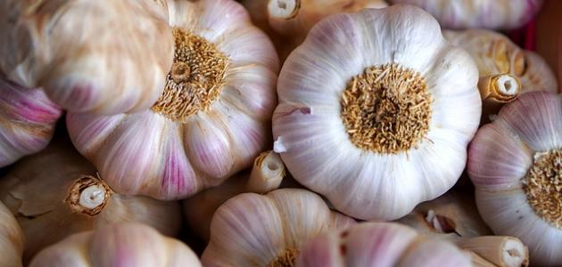 علاج حب الشباب بالثوم صورة مقال علاج حب الشباب بالثوم