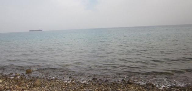 حماية الشواطئ صورة مقال حماية الشواطئ