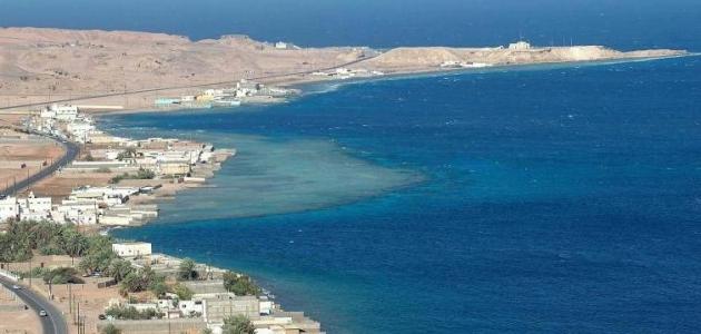 ساحل البحر الأحمر صورة مقال ساحل البحر الأحمر