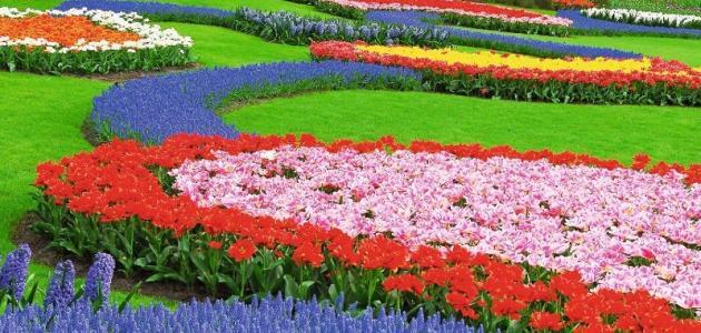 تعبير عن الصيف صورة مقال تعبير عن الصيف