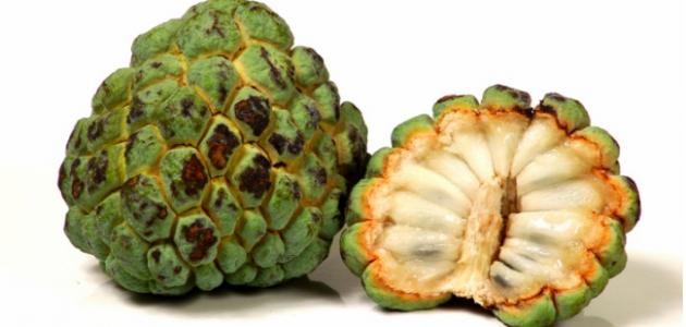 كيف تؤكل ثمرة القشطة صورة مقال كيف تؤكل ثمرة القشطة