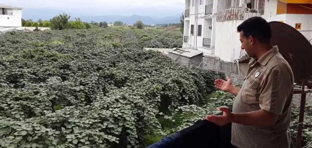 مدينة كوالالمبور صورة مقال مدينة كوالالمبور