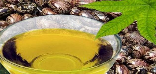 فوائد نبات السعد وكيفية استخدامه صورة مقال فوائد نبات السعد وكيفية استخدامه